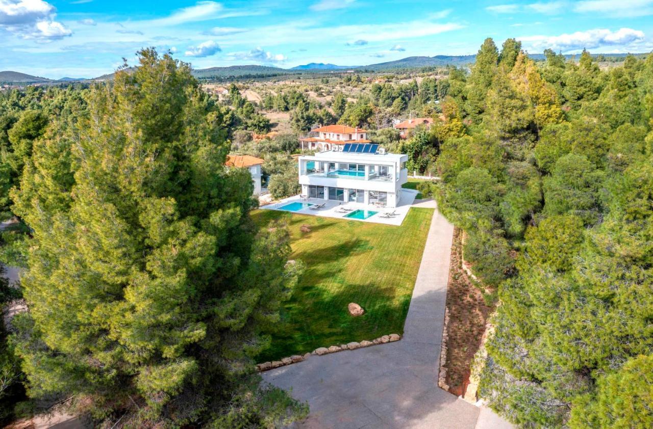 Nikiti Botanic Pool Suites Bagian luar foto